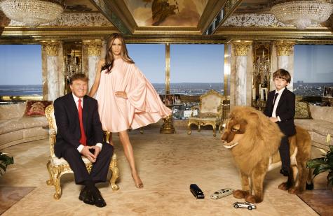barron-lion